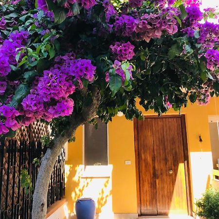 Le Stanze Di Botticelli Termoli Exterior foto