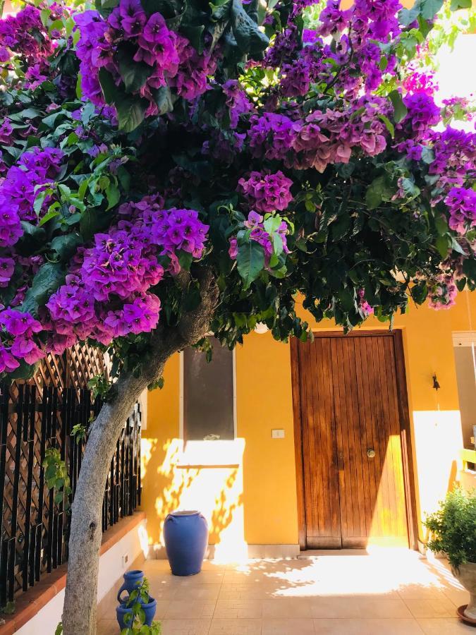 Le Stanze Di Botticelli Termoli Exterior foto